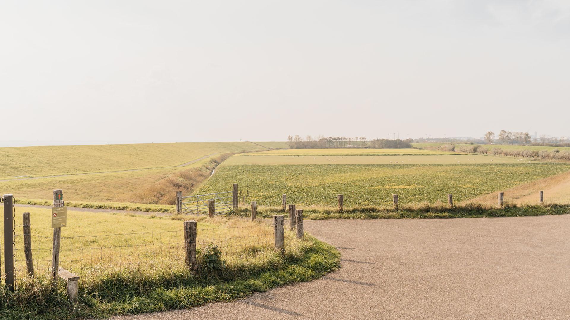 Zeedijk Ritthem naast Ritthemse Bos