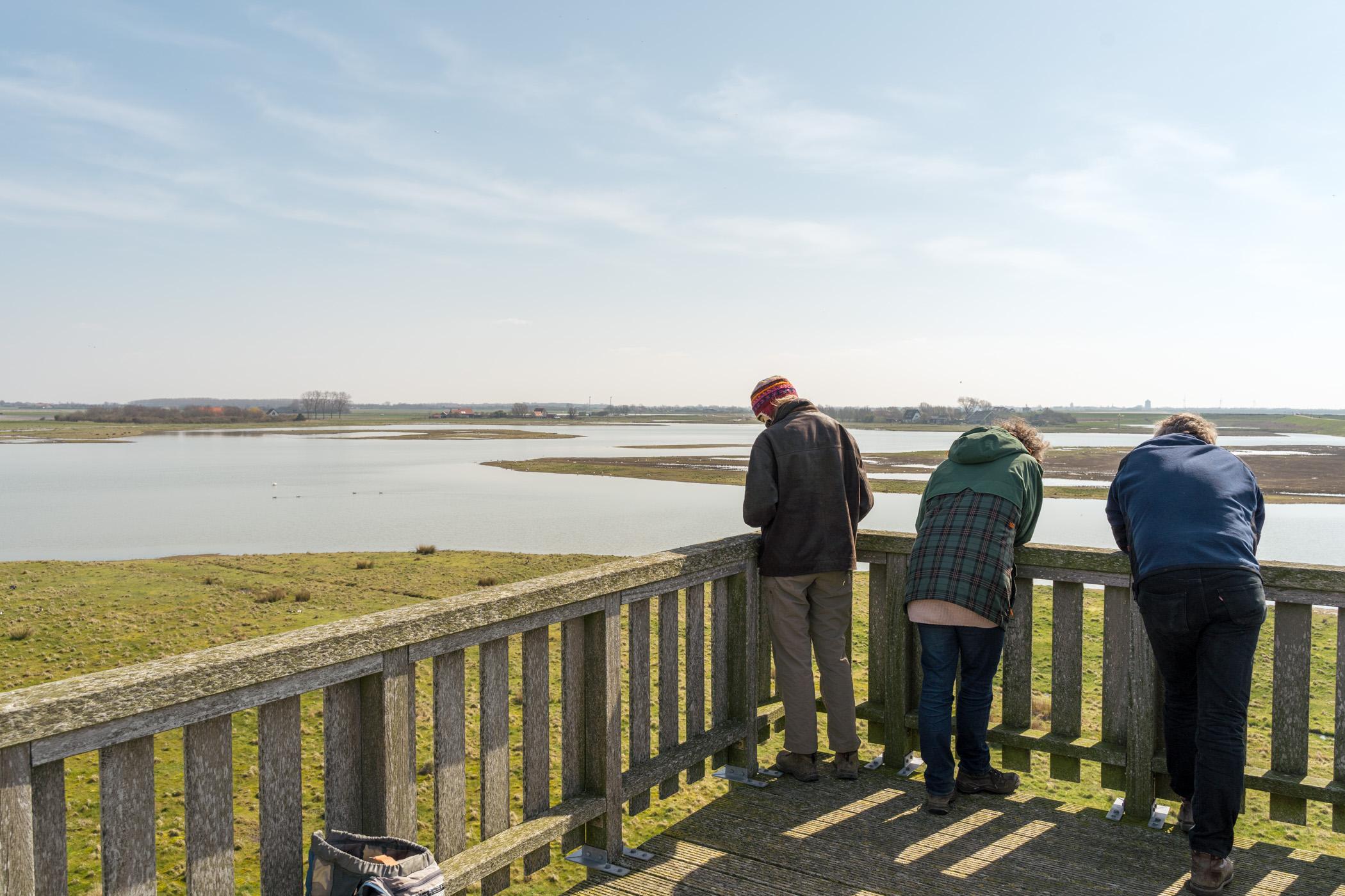 Prunjepolder uitkijktoren Kerkwerve