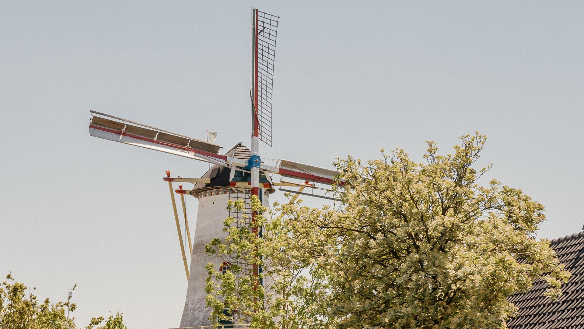 Burgh-Haamstede Mühle de Graanhalm