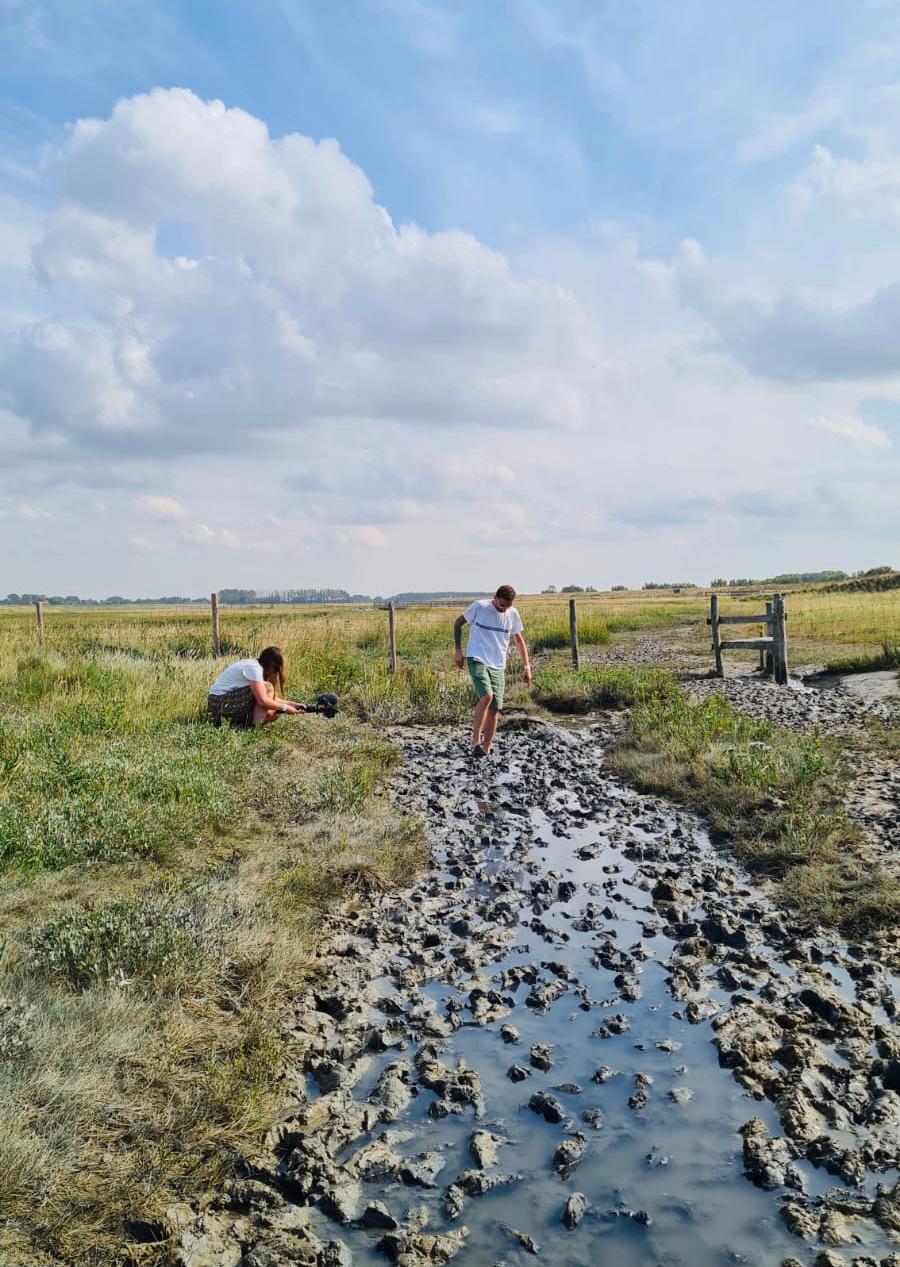 Het Zwin blote voetenpad