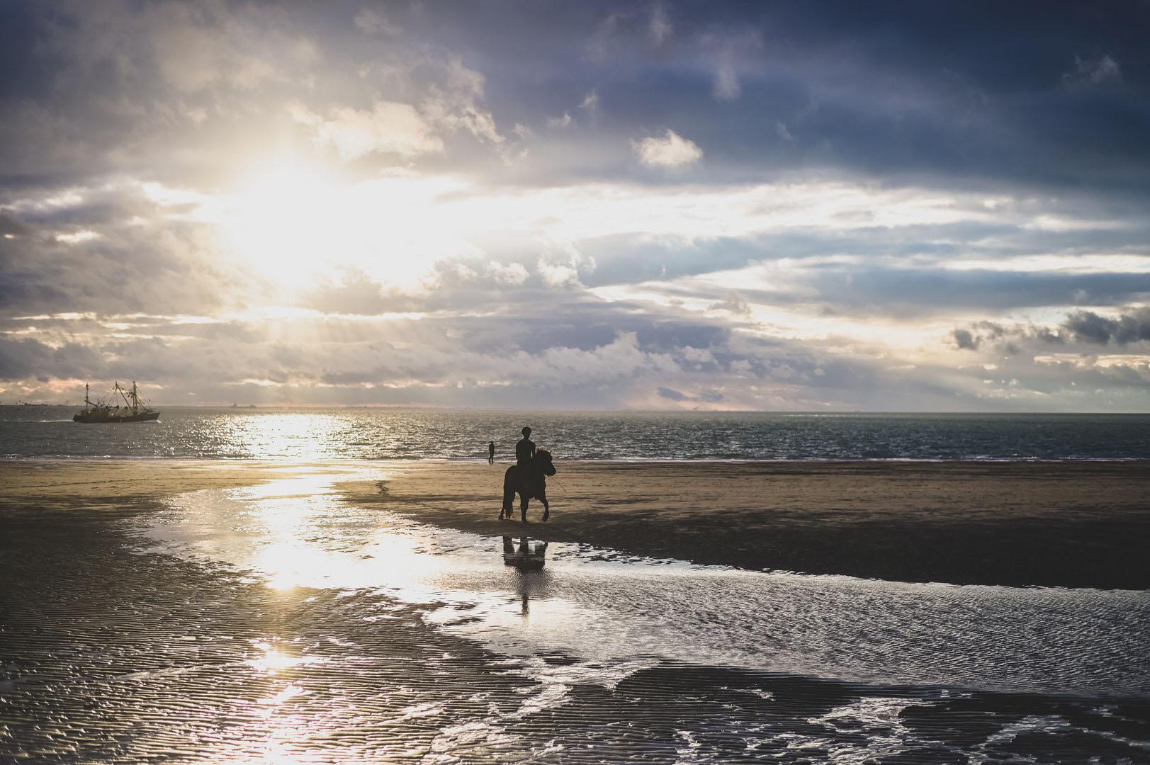 paard bij zonsondergang zeeland
