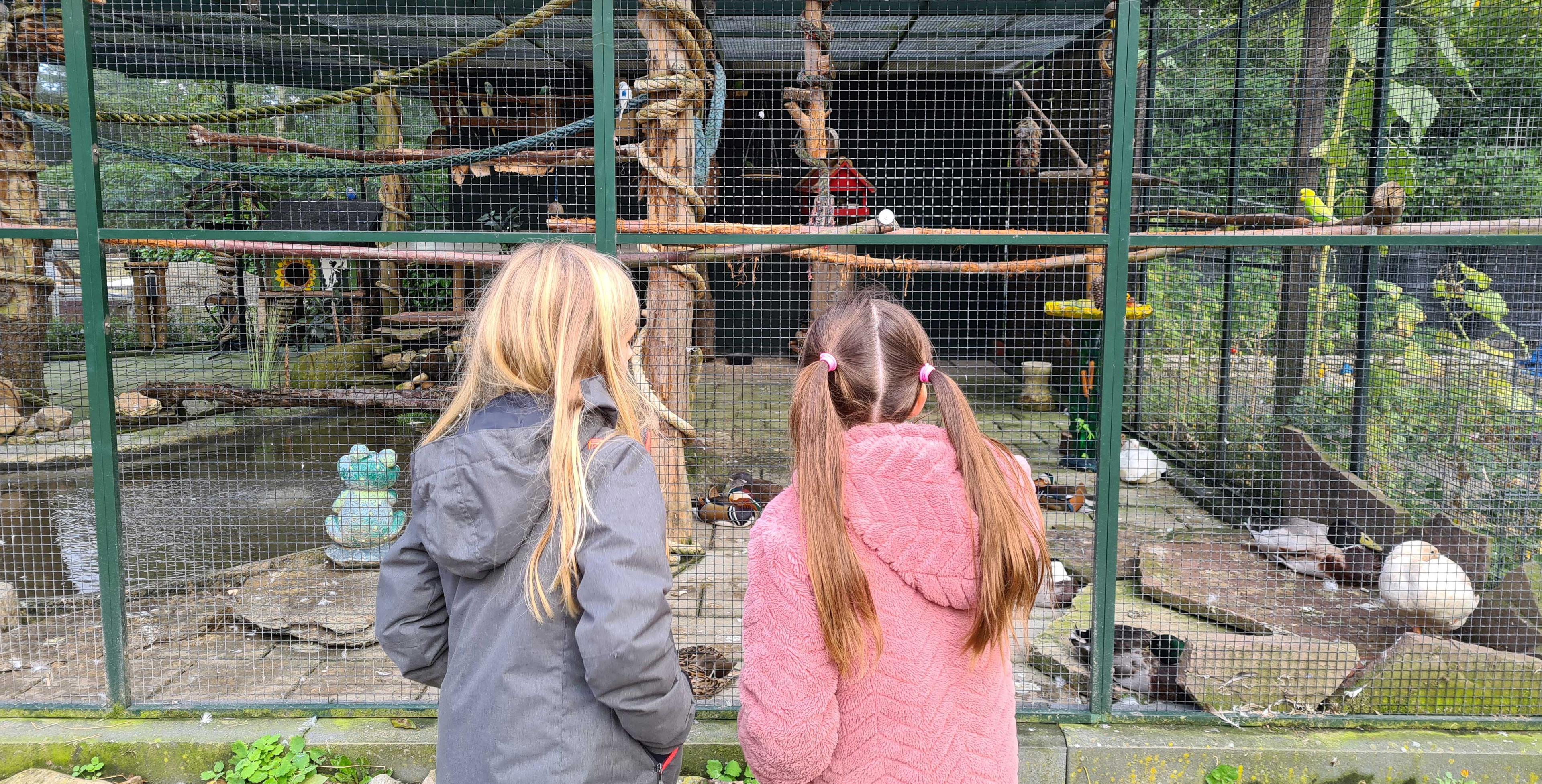 Kinderboerderij volière