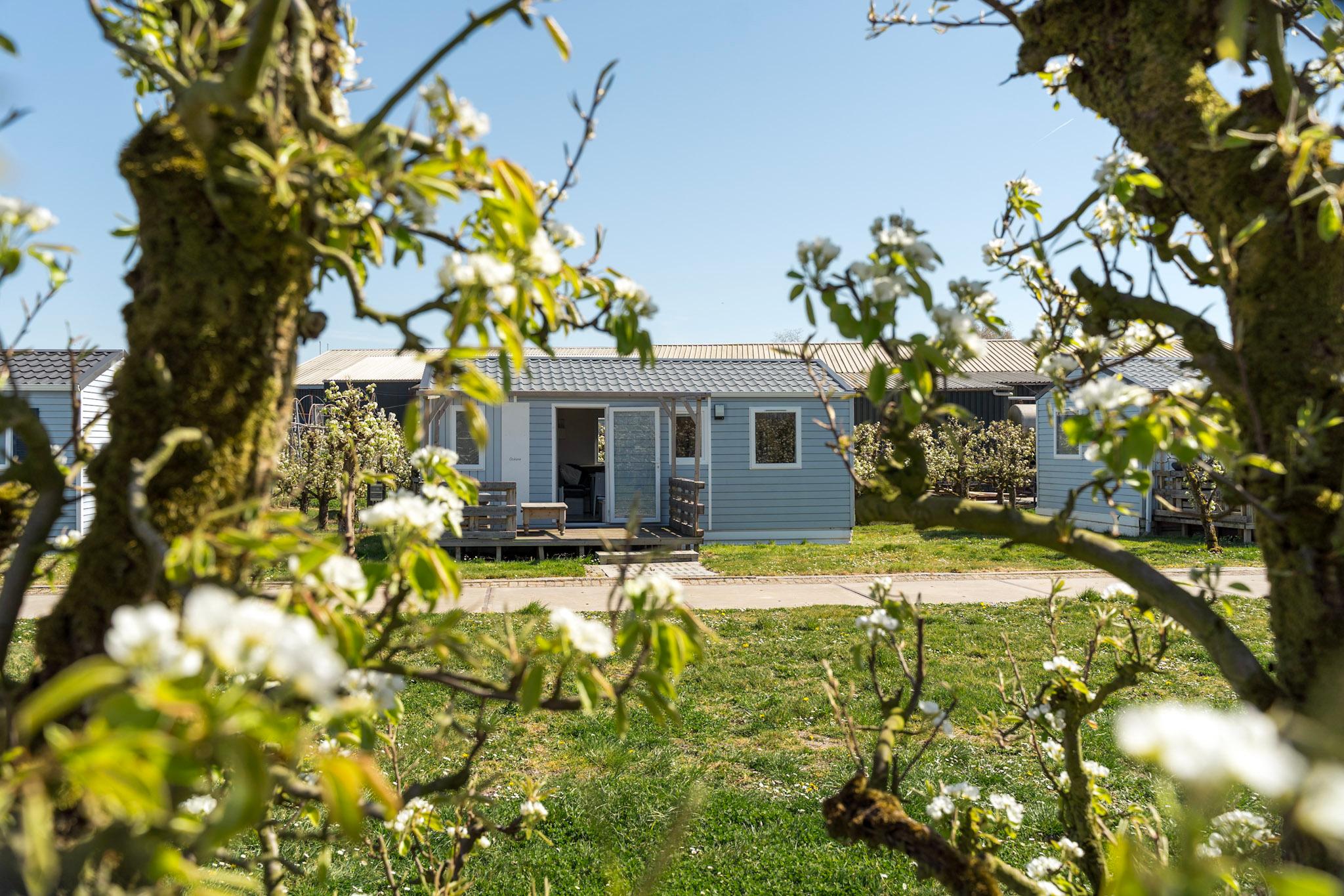 Vakantiehuizen Landwinkel Oude Stoof