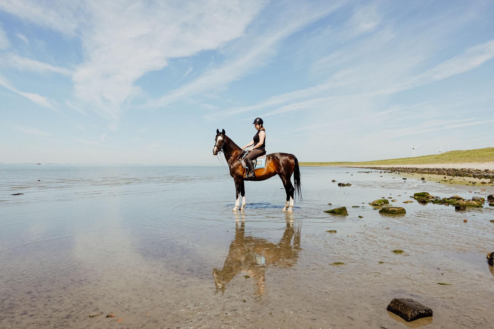 Tholen-Sint-Maartensdijk-3