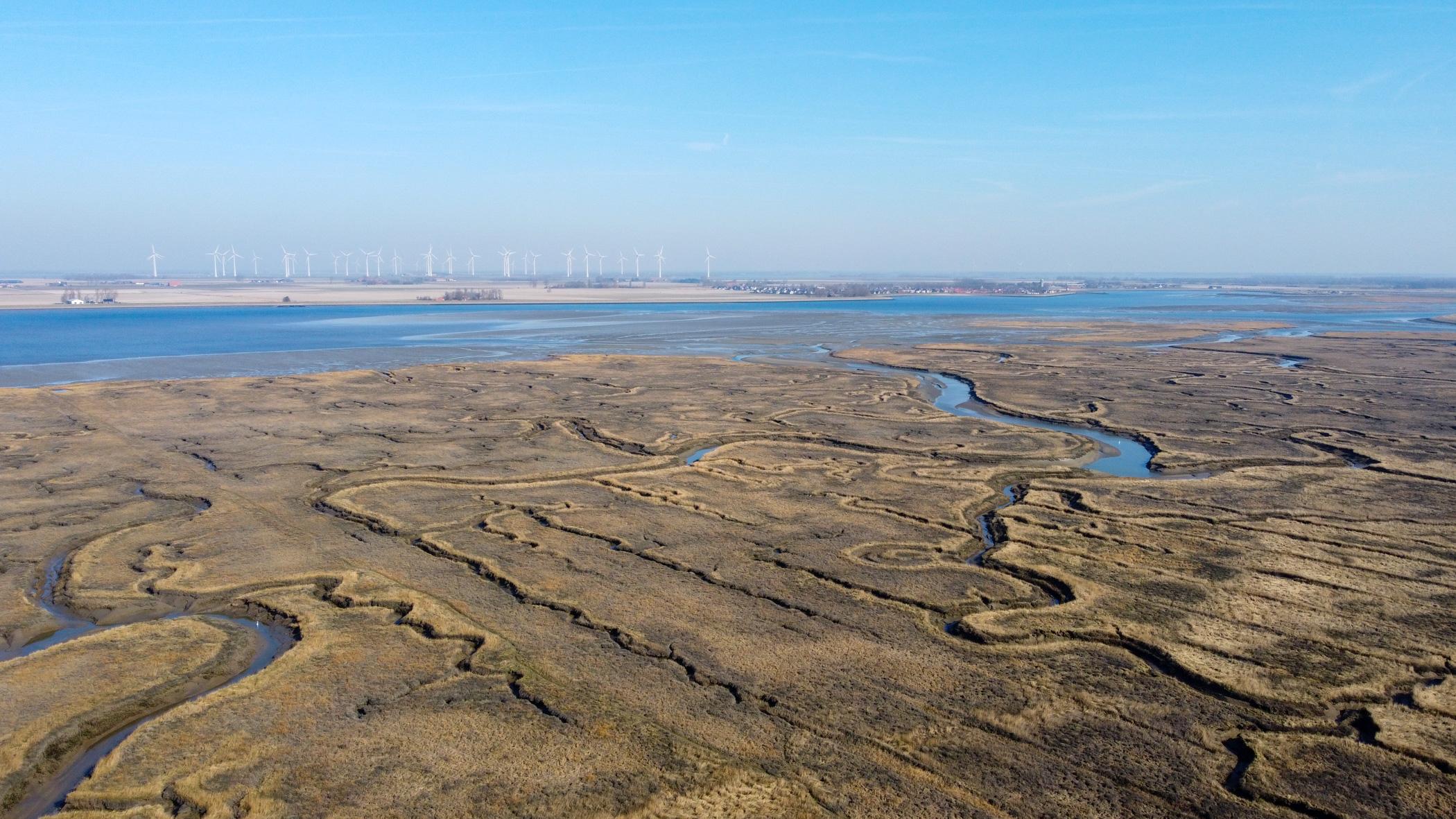 De schorren van Sint Annaland