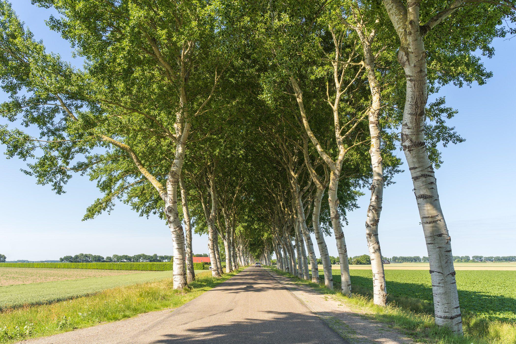 Geersdijk Stekeldijk Noord-Beveland