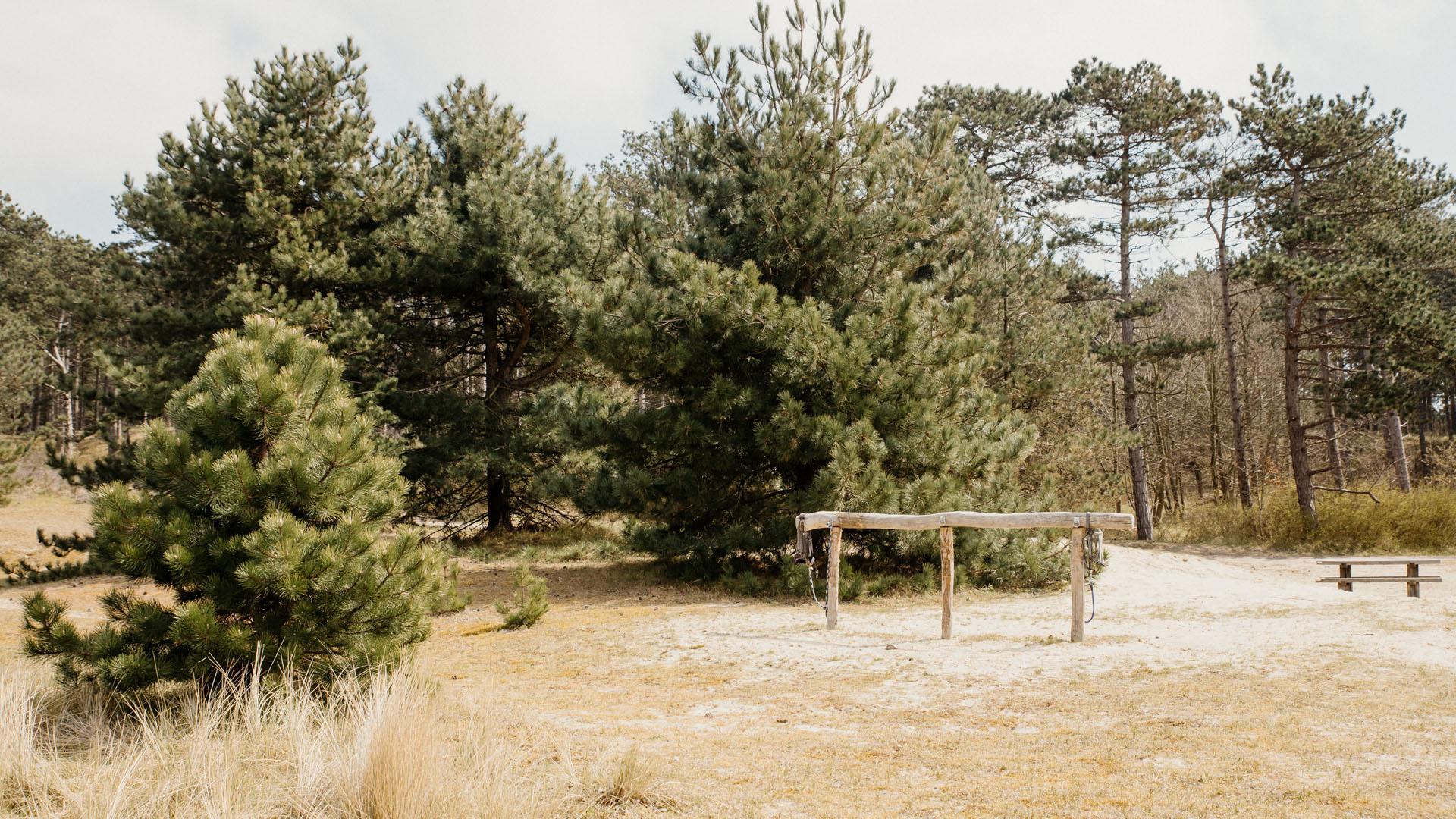 Wald Burgh-Haamstede