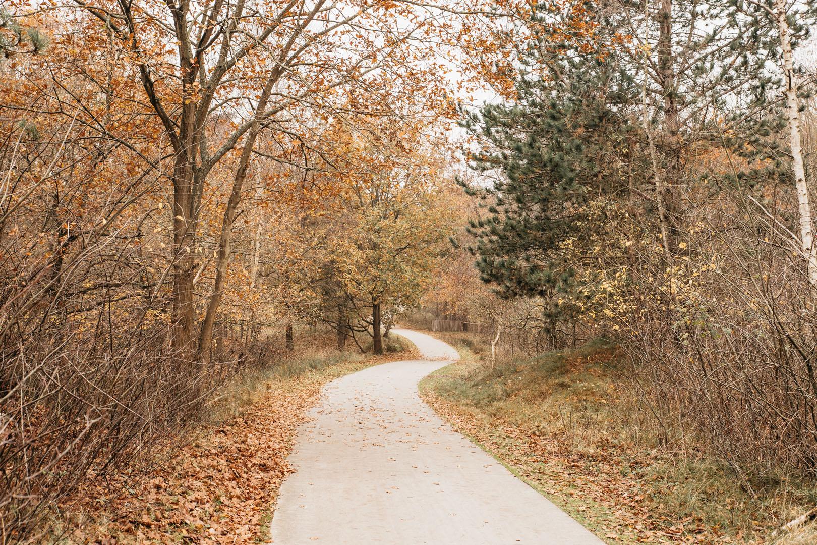 Burgh-Haamstede-Meeuwenduinen-