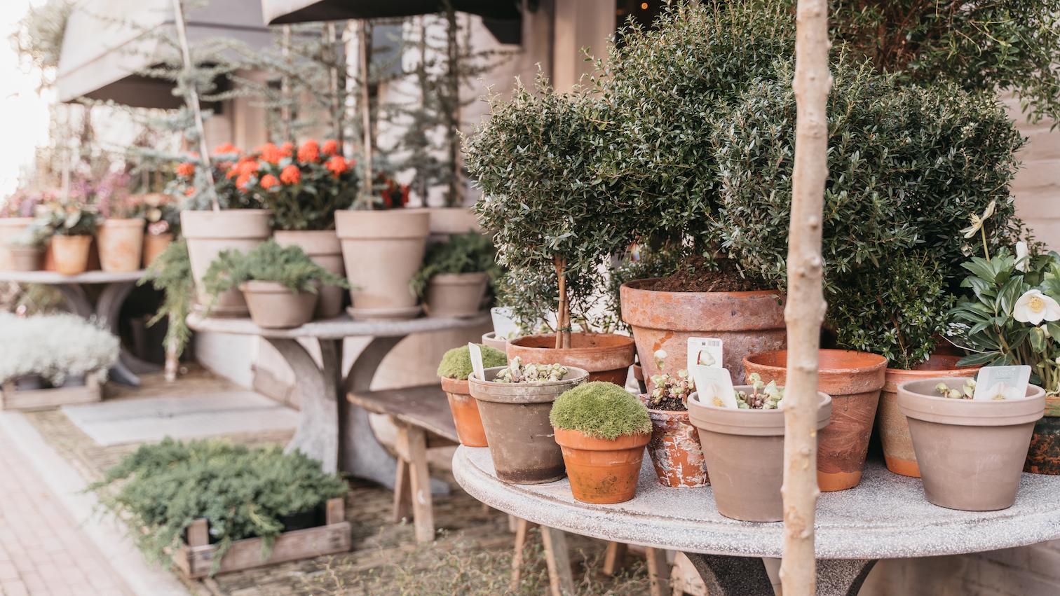 Middelburg Huis van Bloemen