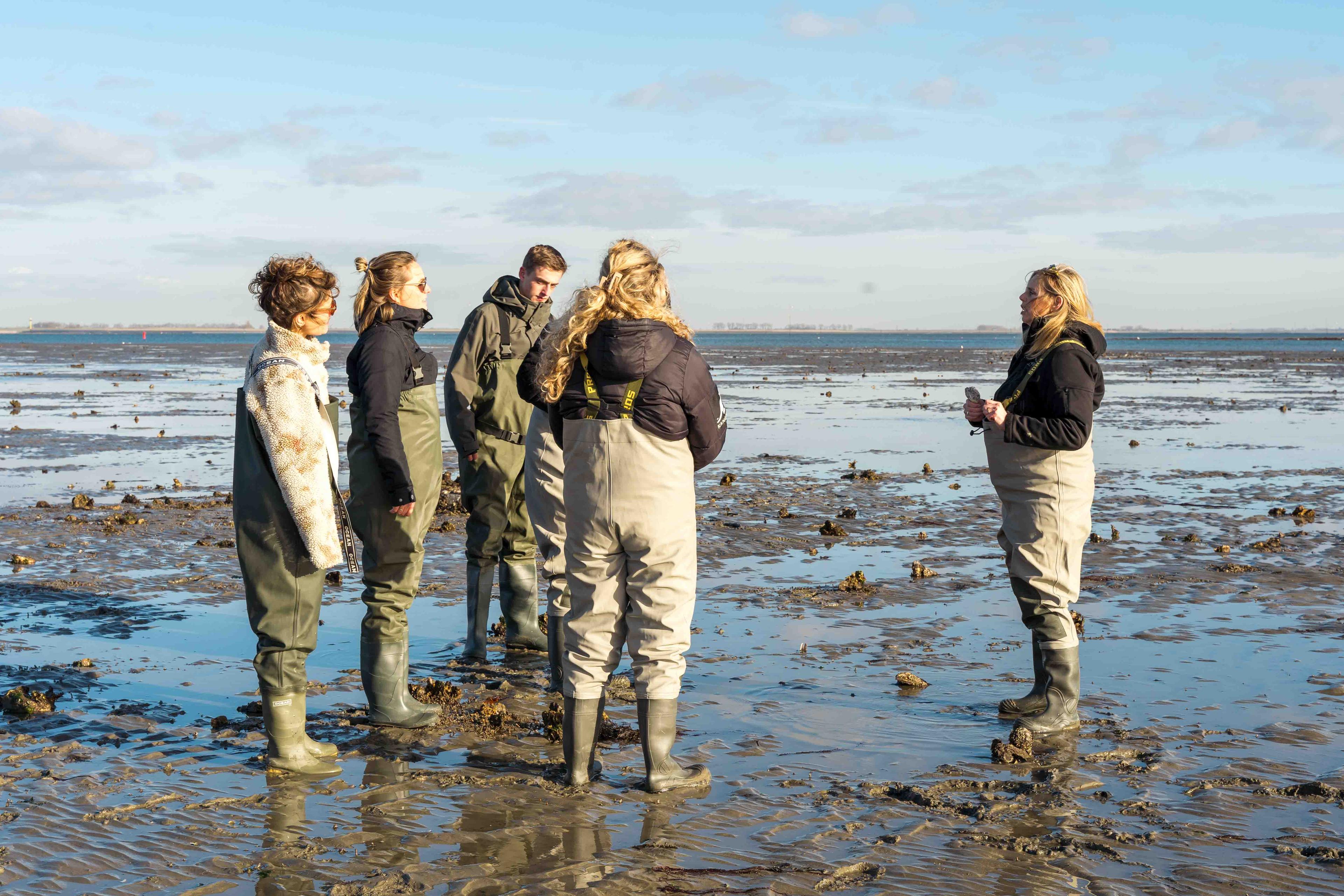 Rondleiding Yerseke Oosterschelde