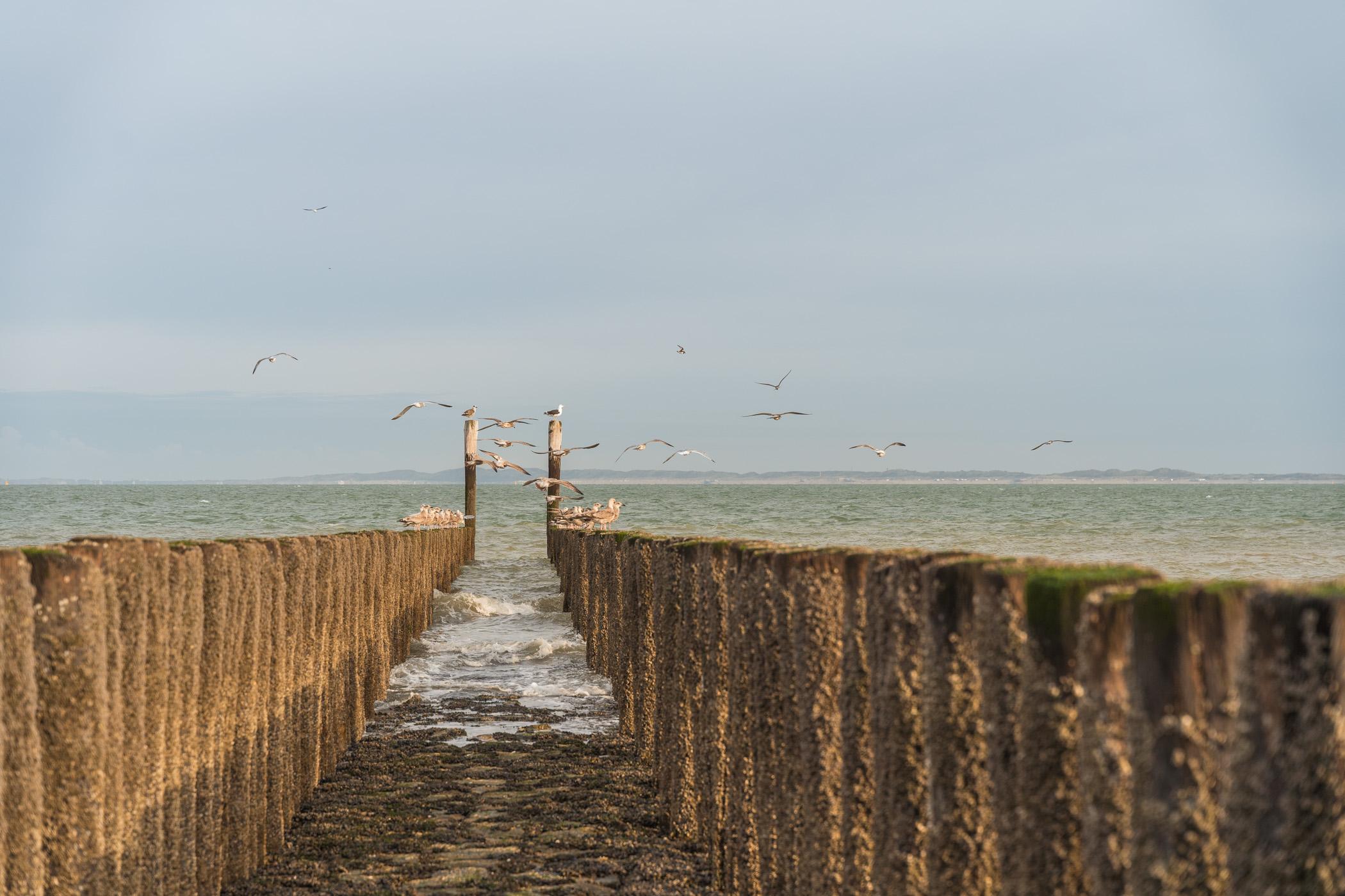 Breskens Strand und Meer