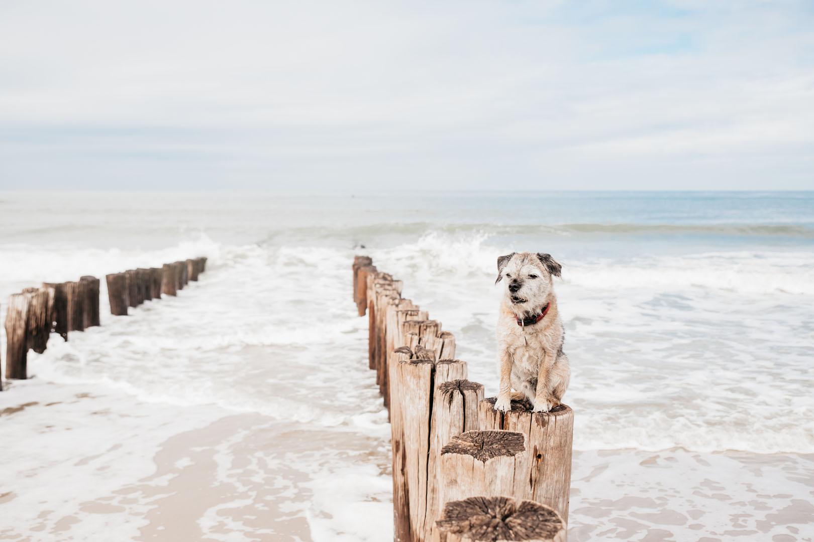 Stranden op Walcheren