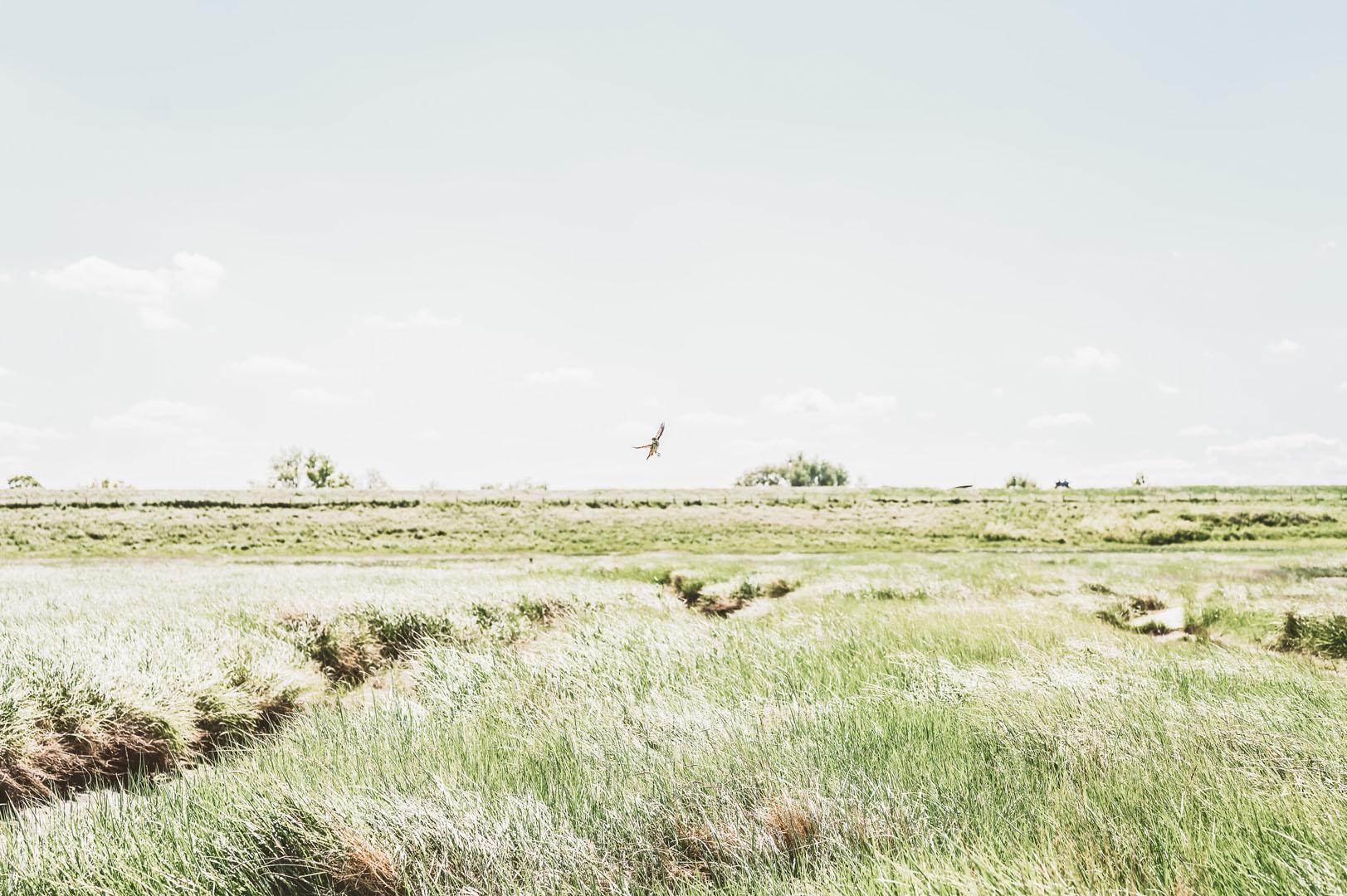 Verdonken Land van Saefthinge - ©@maviczl & Chelsey van Overmeiren