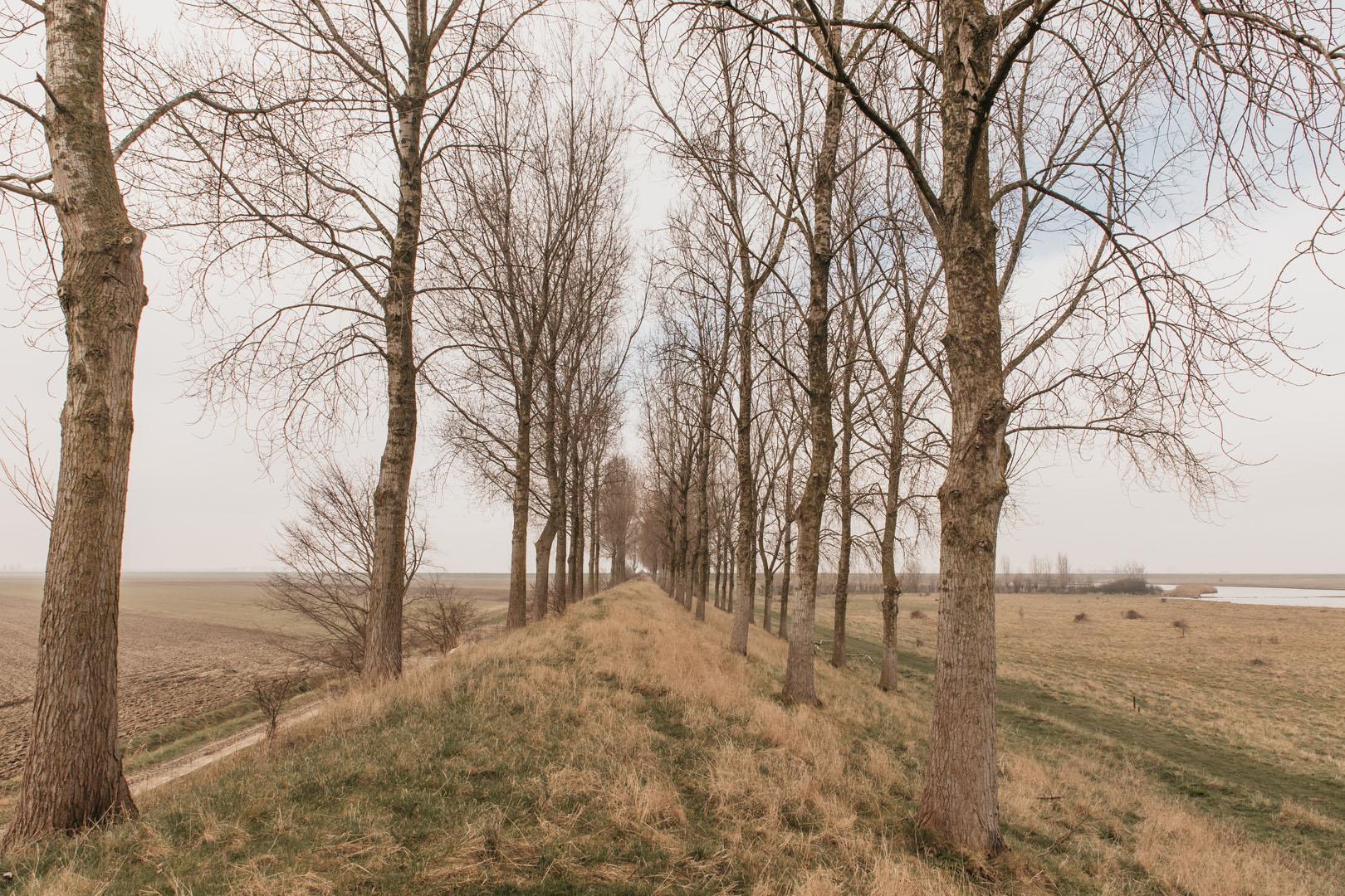 Oud-Vossemeer-Van-Haaften-Polder-2