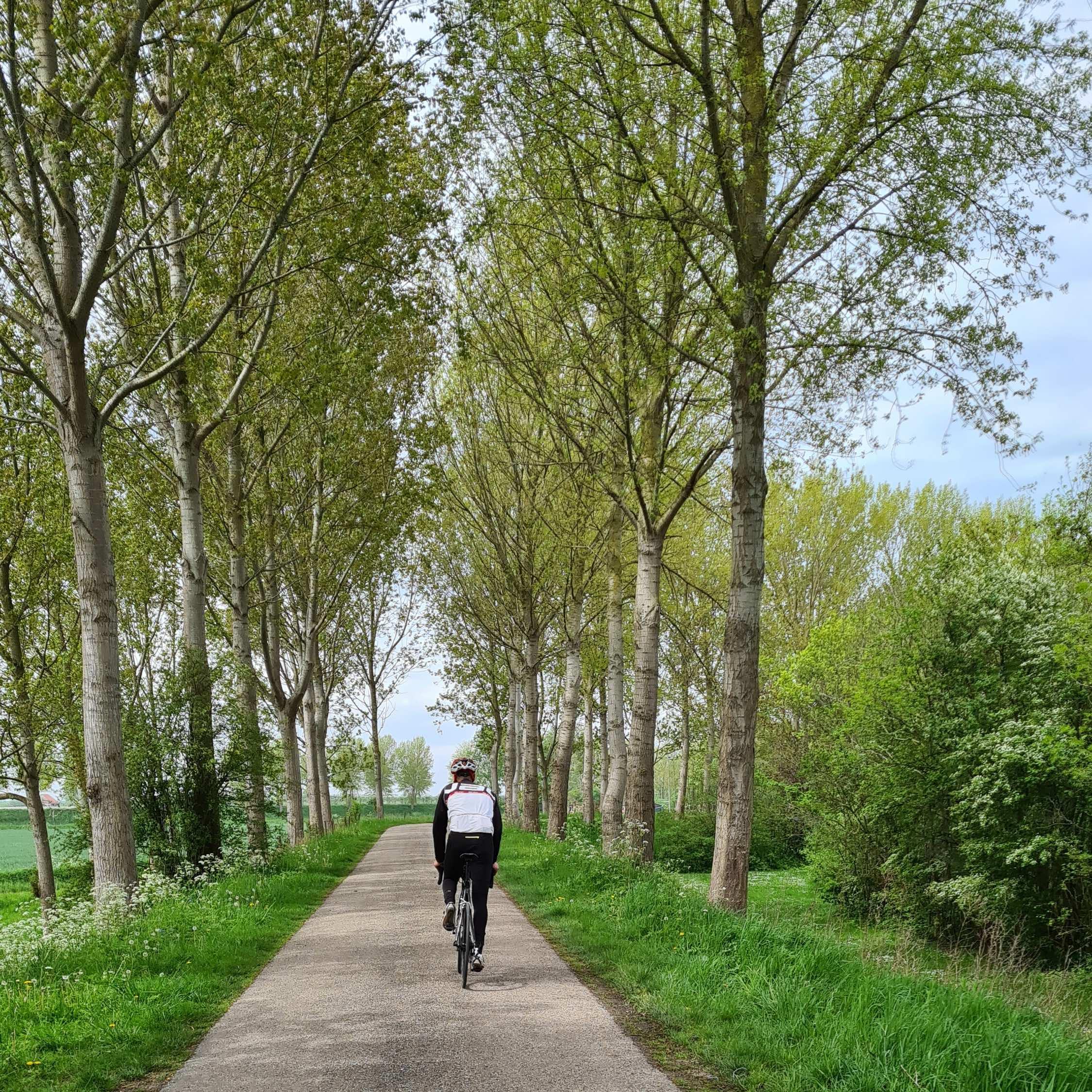 Radfahren entlang der Blumendämme Zeeland