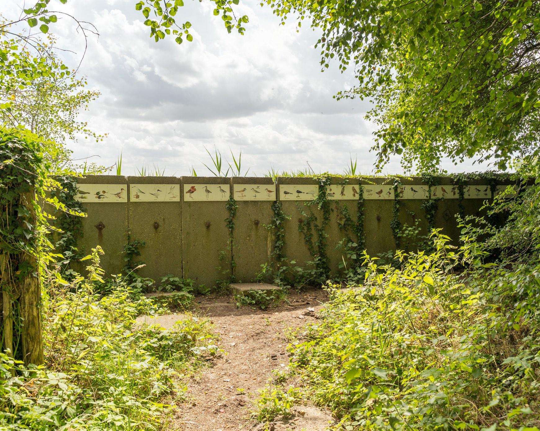 Beobachtungswand Naturschutzgebiet De Braakman
