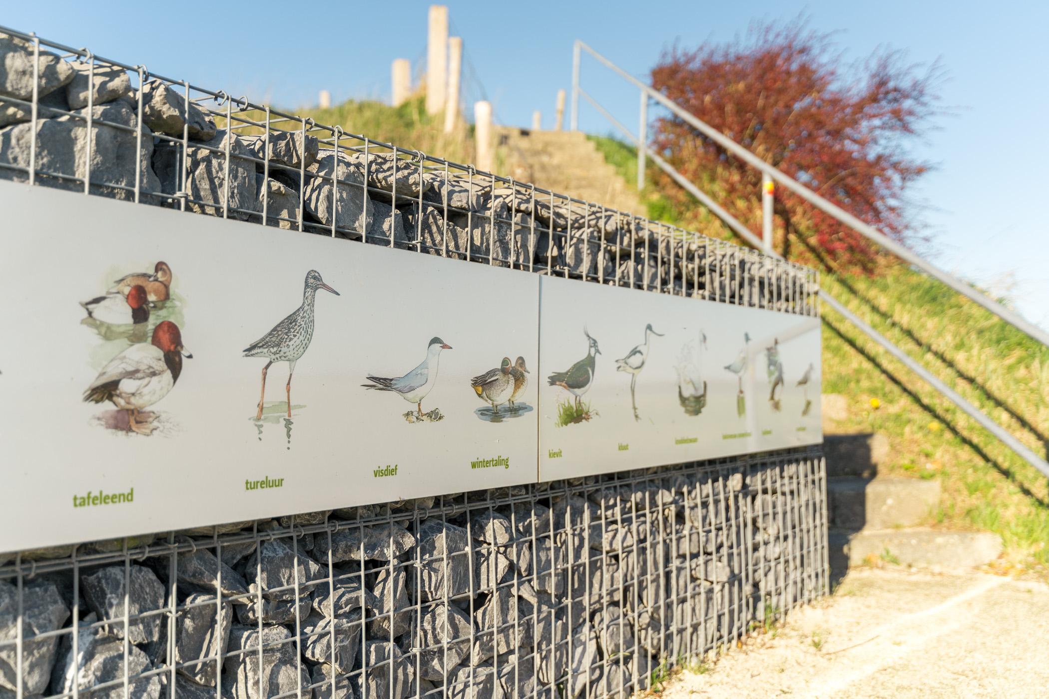 Vogels Noord-beveland