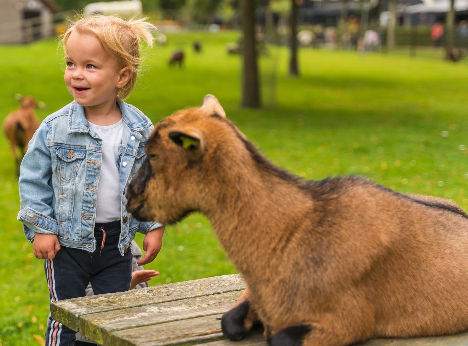 Kinderboerderij Zeeland