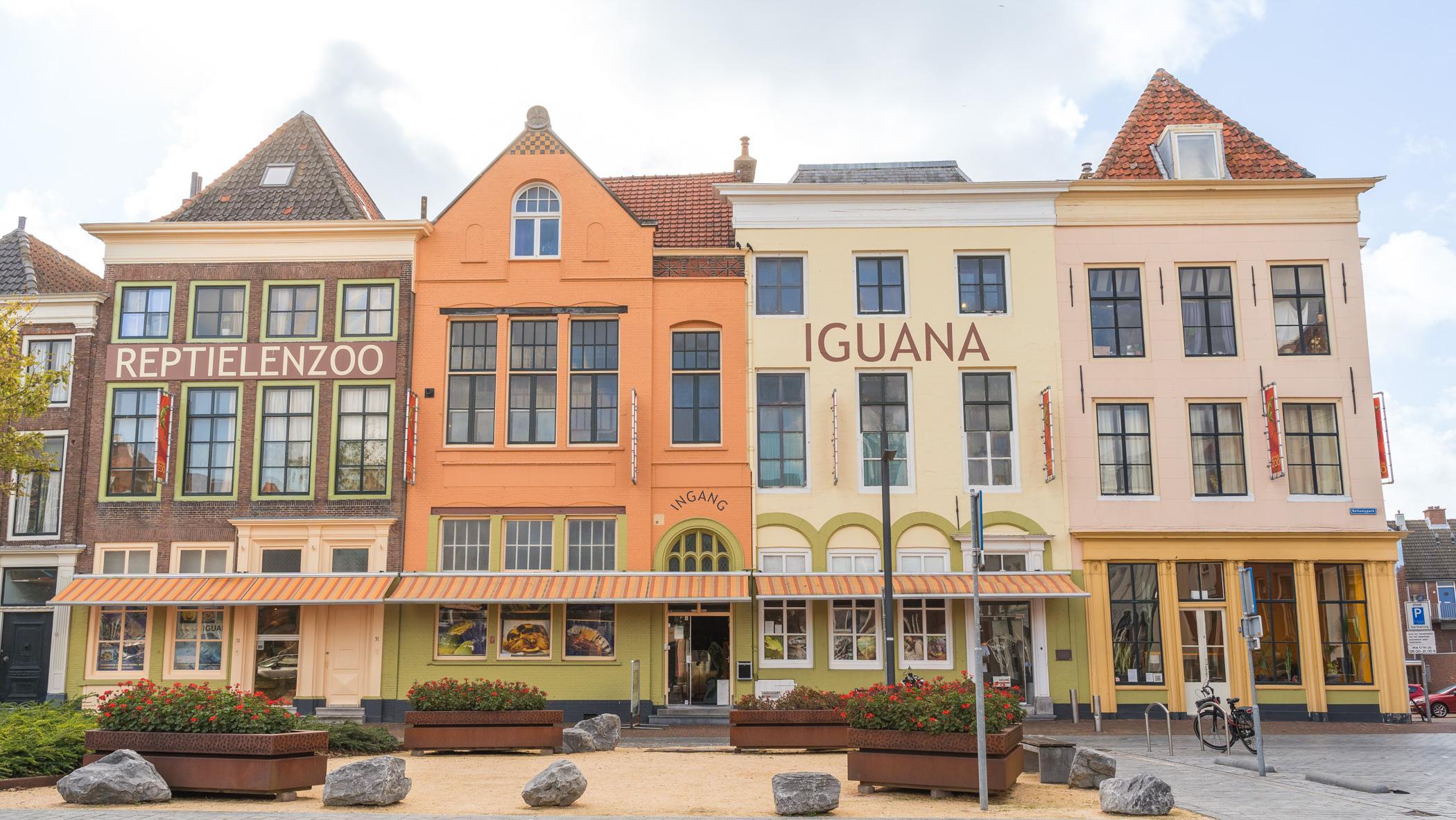 Binnenactiviteiten kinderen - Iguana Vlissingen