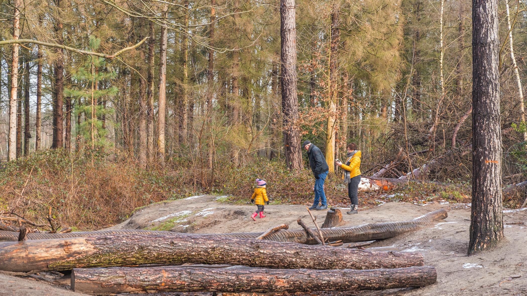 Clingse Bos Zeeuws-Vlaanderen mit Kindern