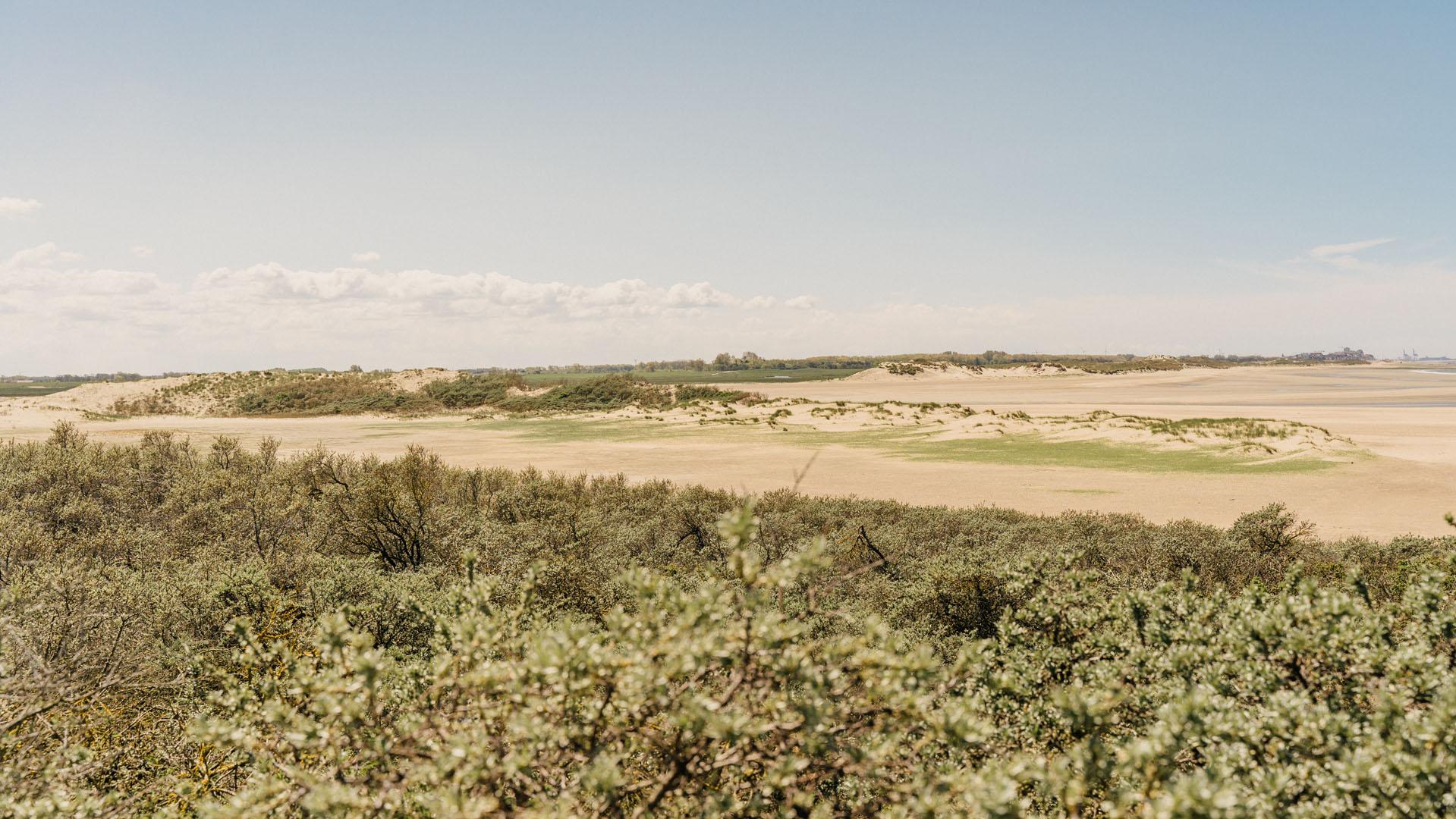 Cadzand Het Zwin