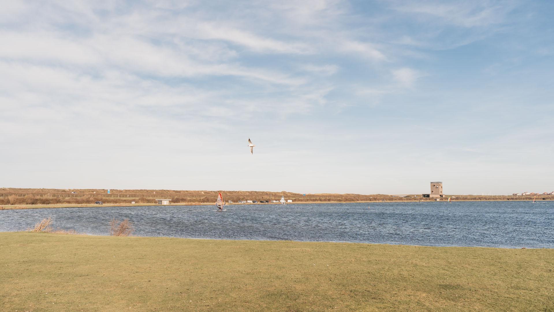 Windsurfen in Scharendijke