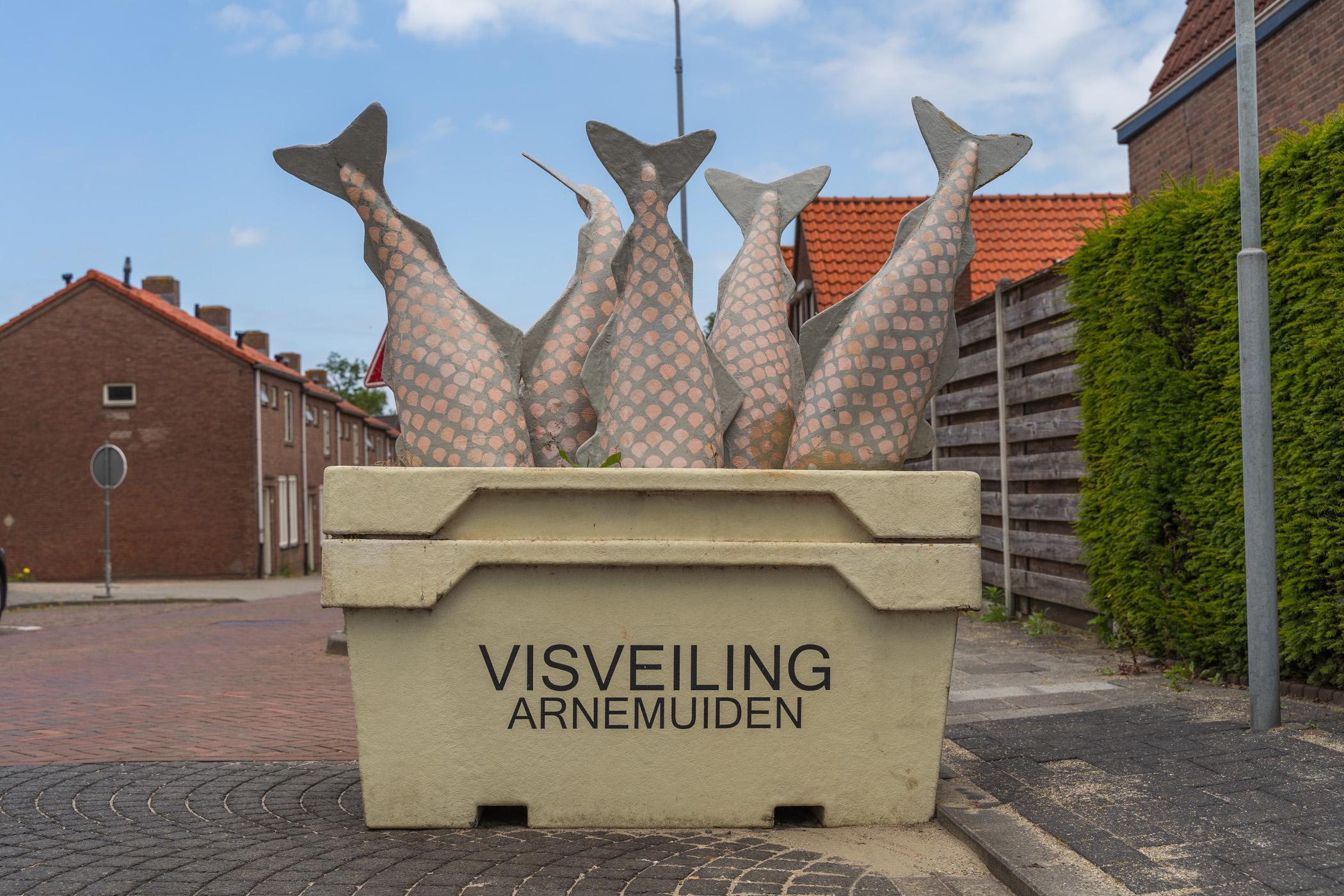 Arnemuiden Fischauktion