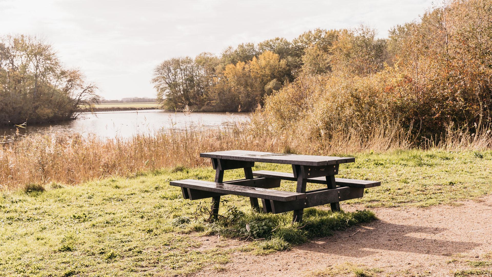 Picknick Veerse Bos