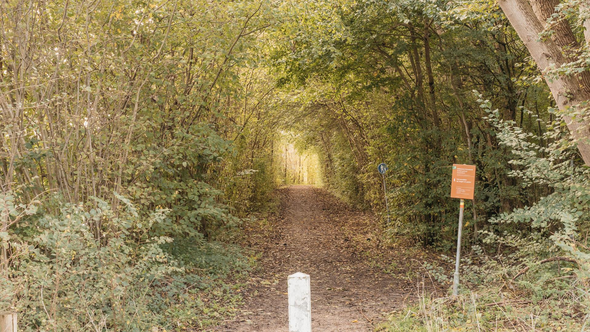 Ouwerkerk-wald