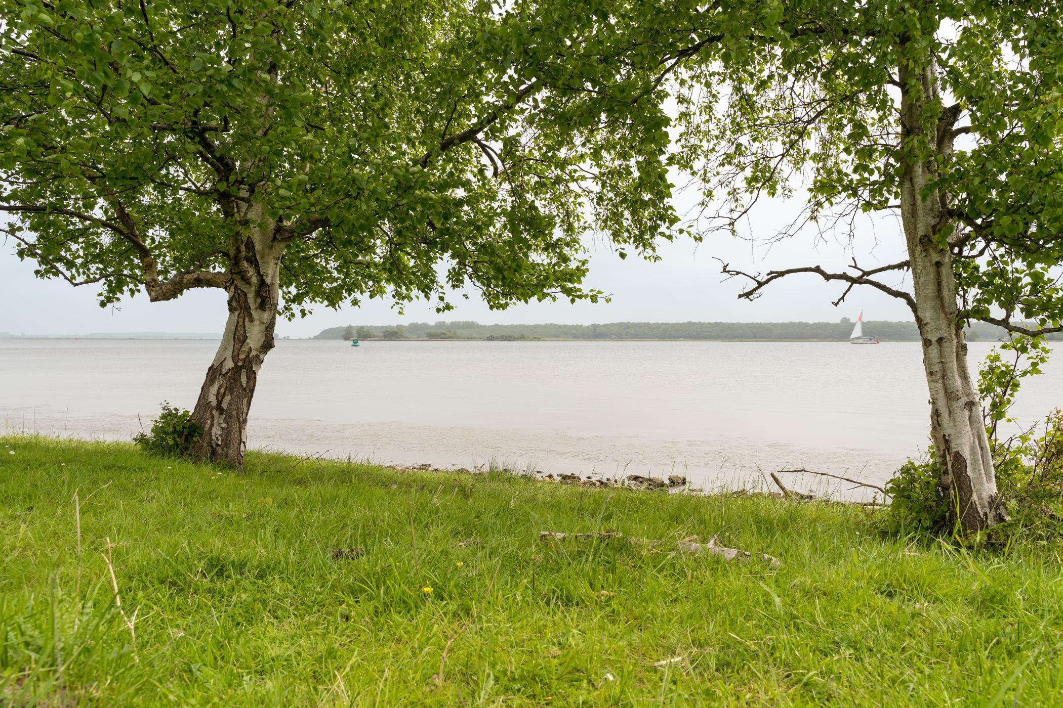 Kamperland-goudplaat