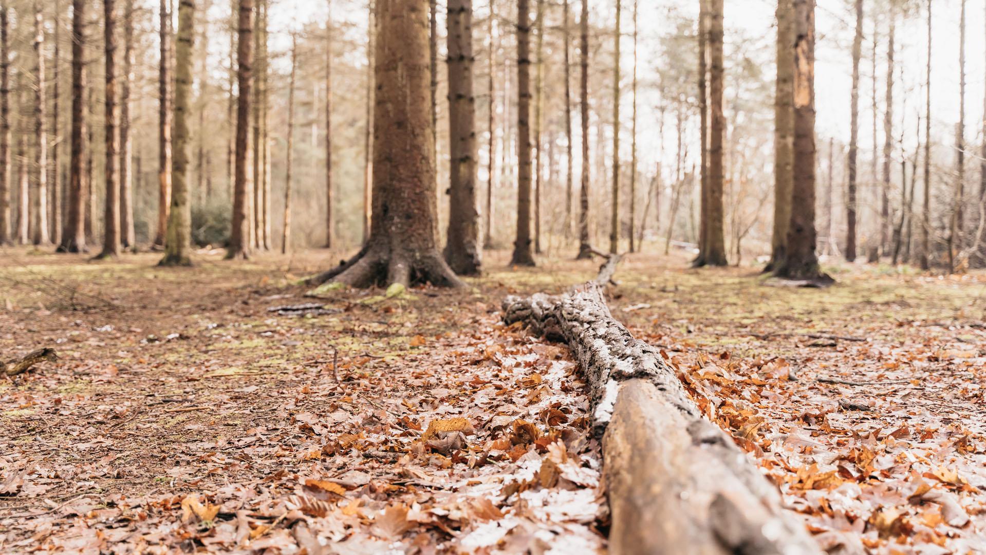 Herfst activiteiten Zeeland