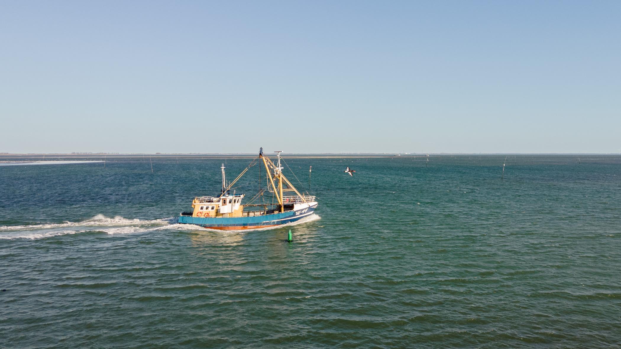 Yerseker Fischerboot in der Oosterschelde