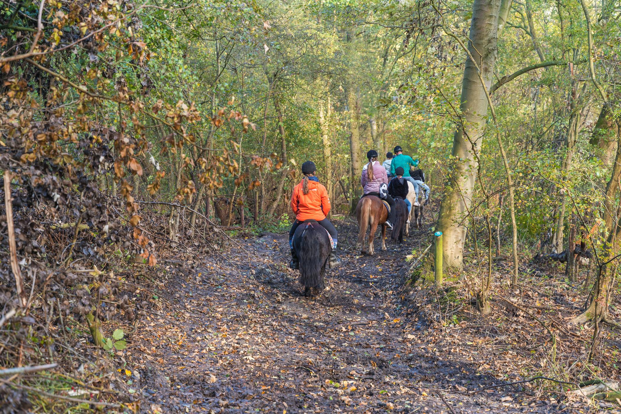 Paardrijden in Zeeland op het strand