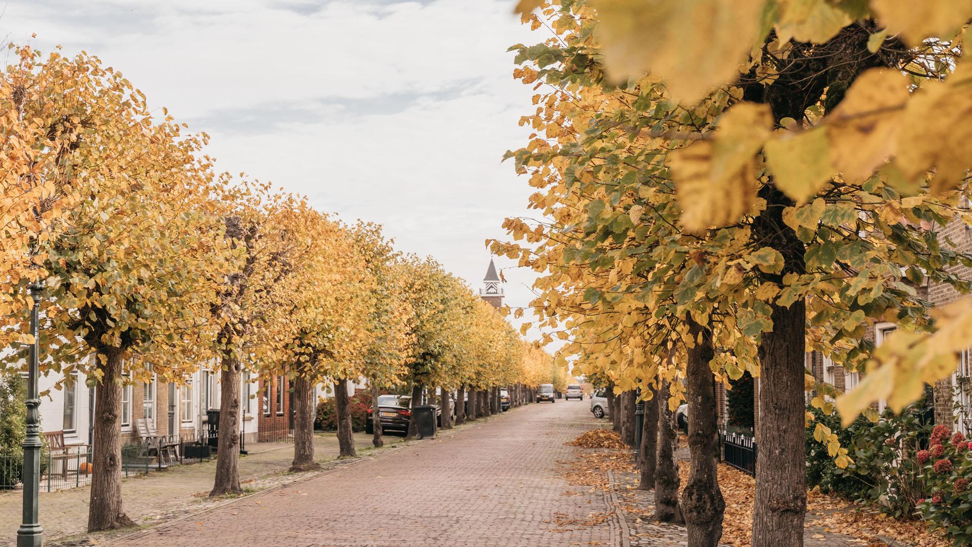 Dorpstraat in Wemeldinge