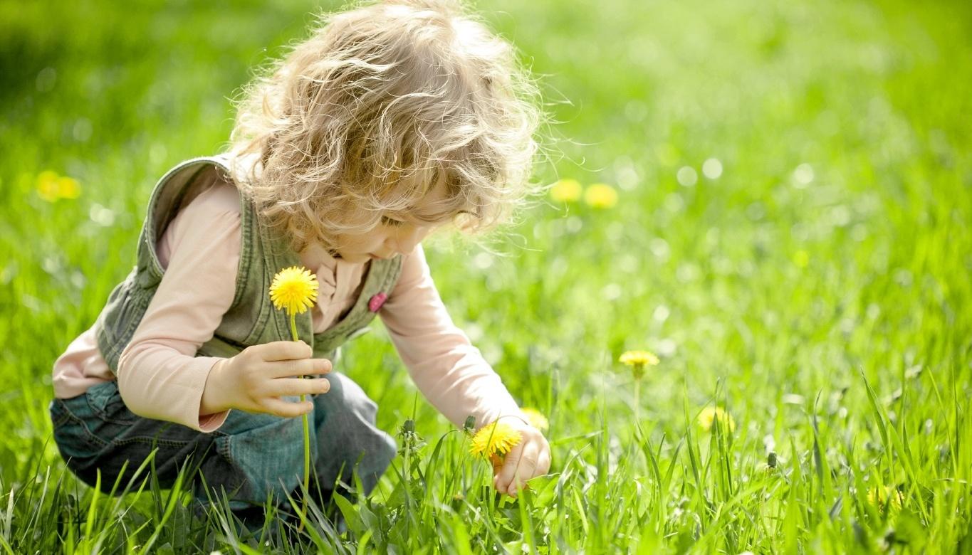 Kind plukt boterbloemen - Voorjaar in Zeeland