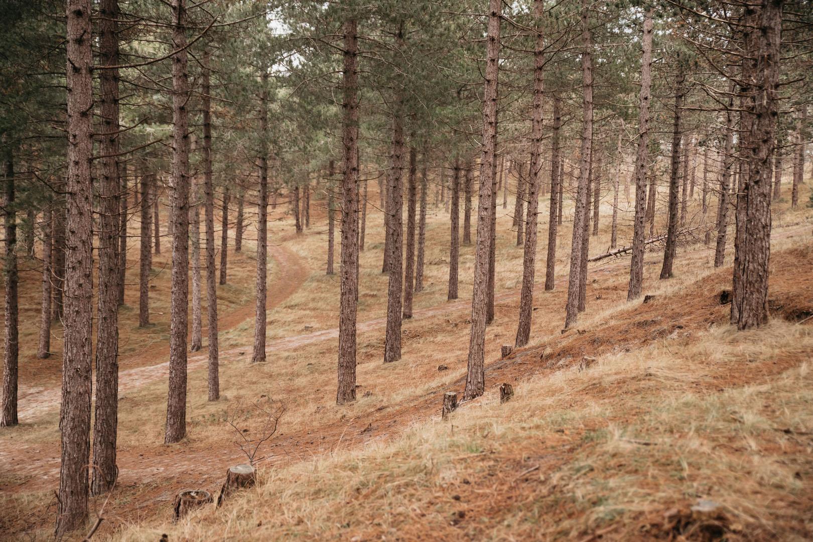 Burgh-Haamstede-Meeuwenduinen