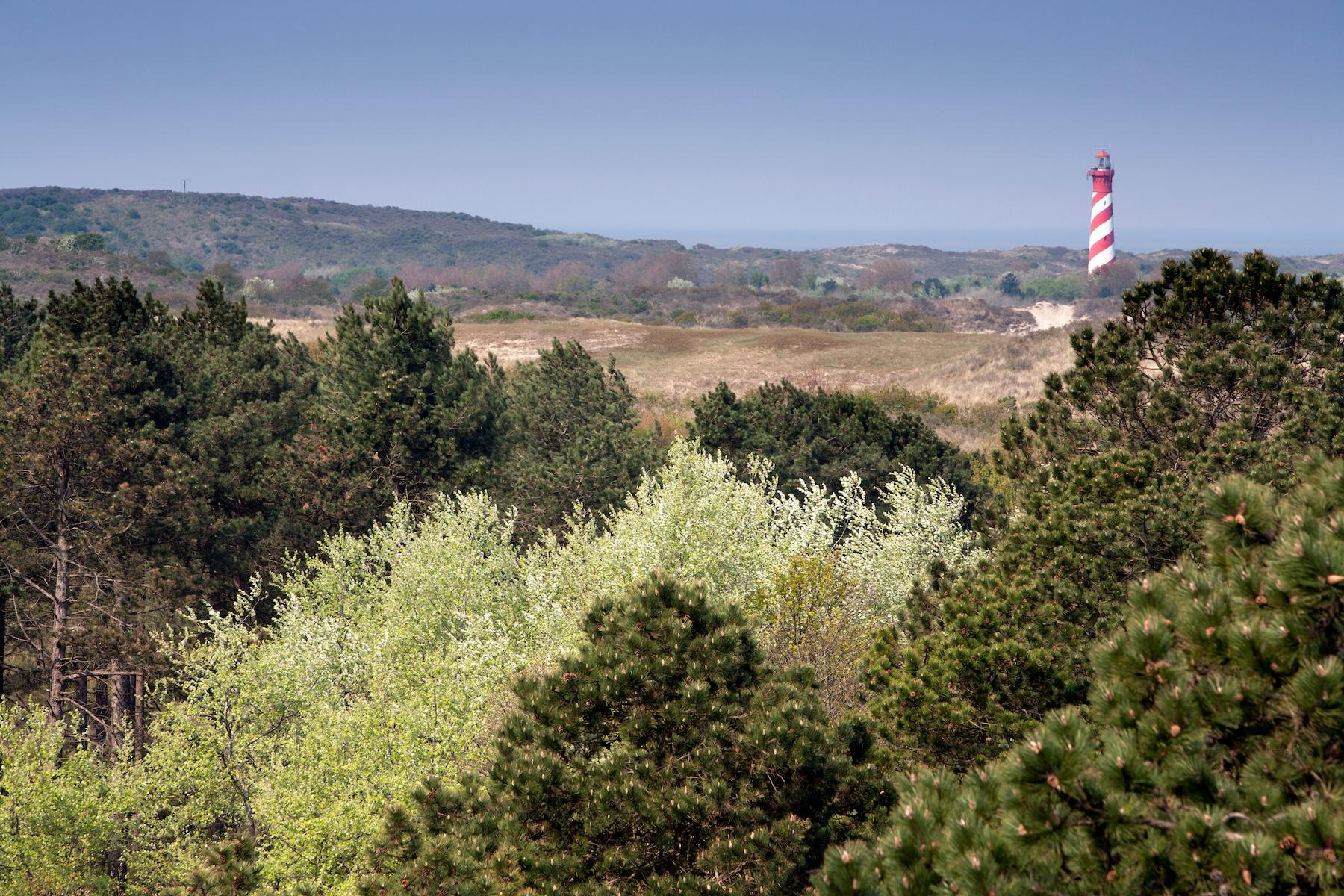 Burgh-Haamstede Dunen Leuchtturm