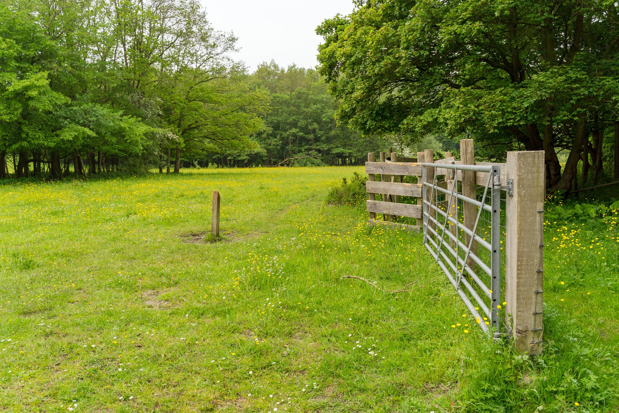 Kamperland-goudplaat