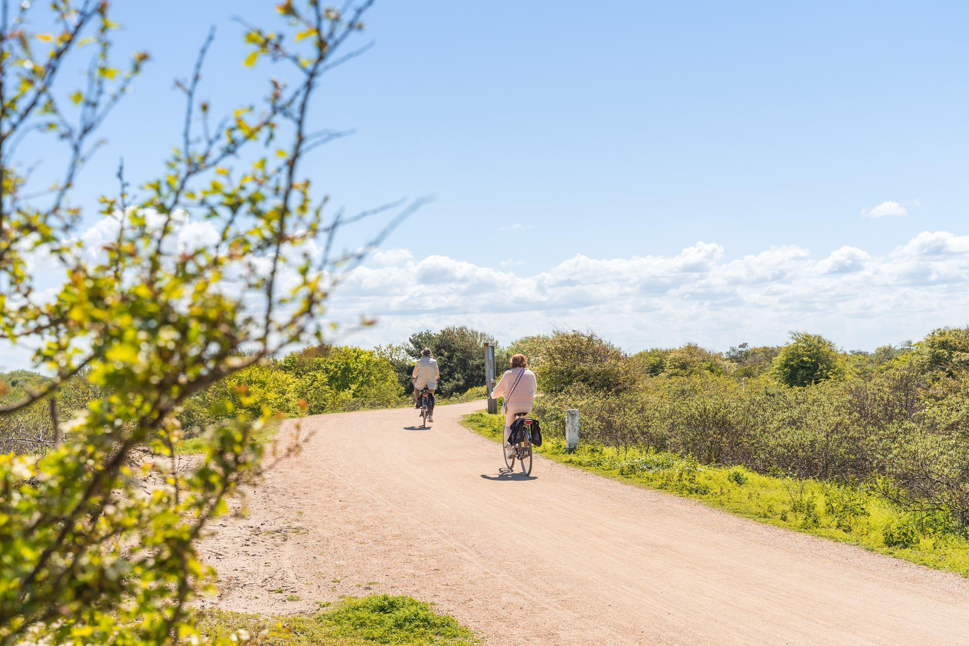 Radfahren Zeeuws-Vlaanderen