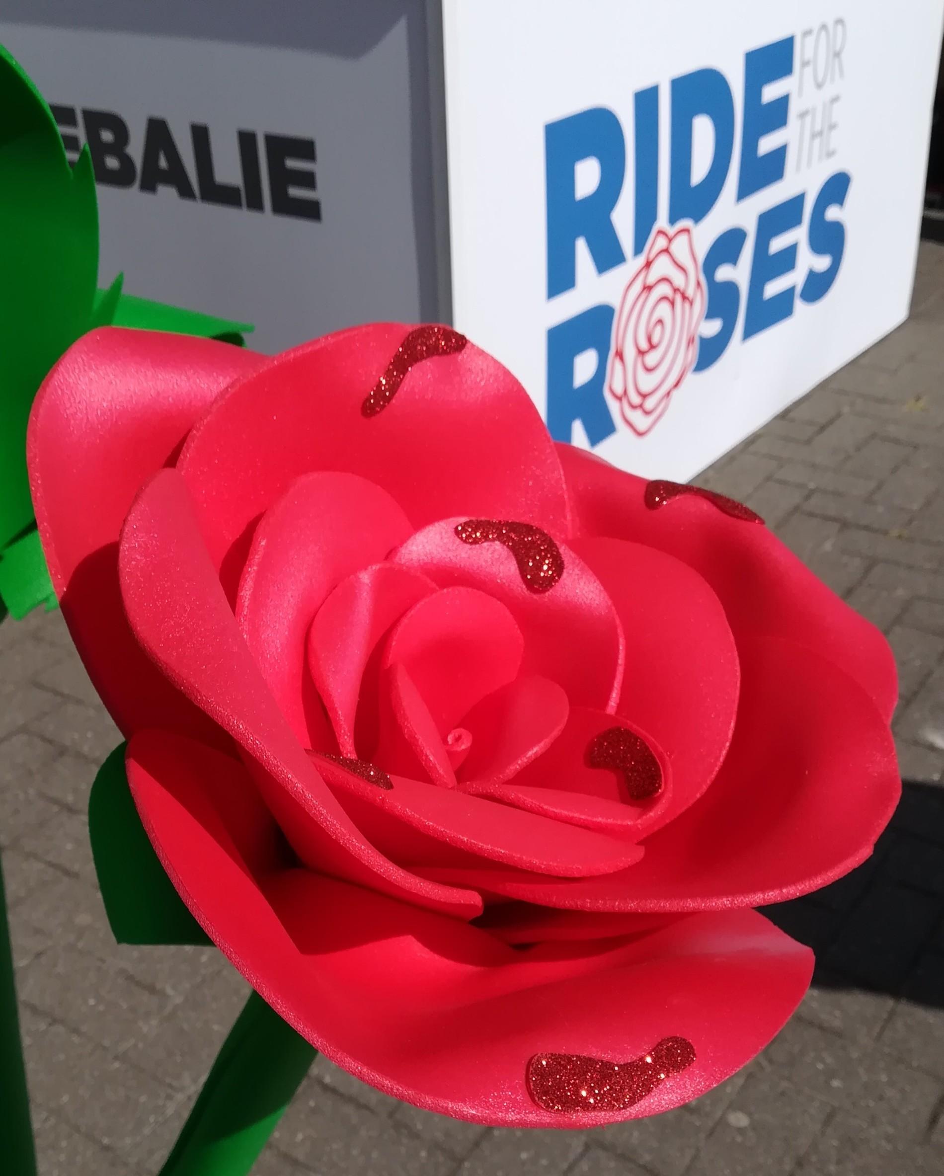 Ride for the Roses Zeeland