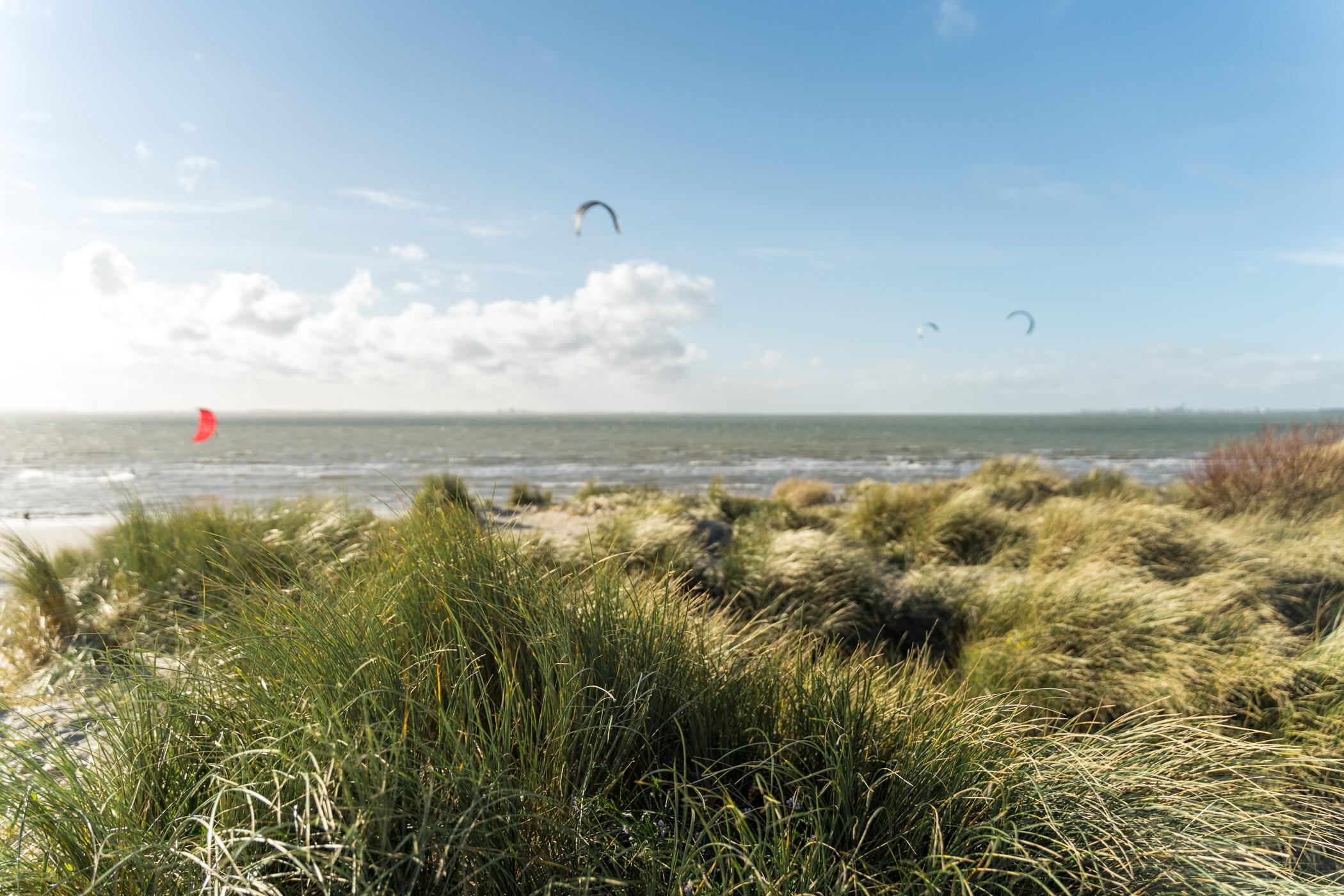 Strand Süd-Beveland