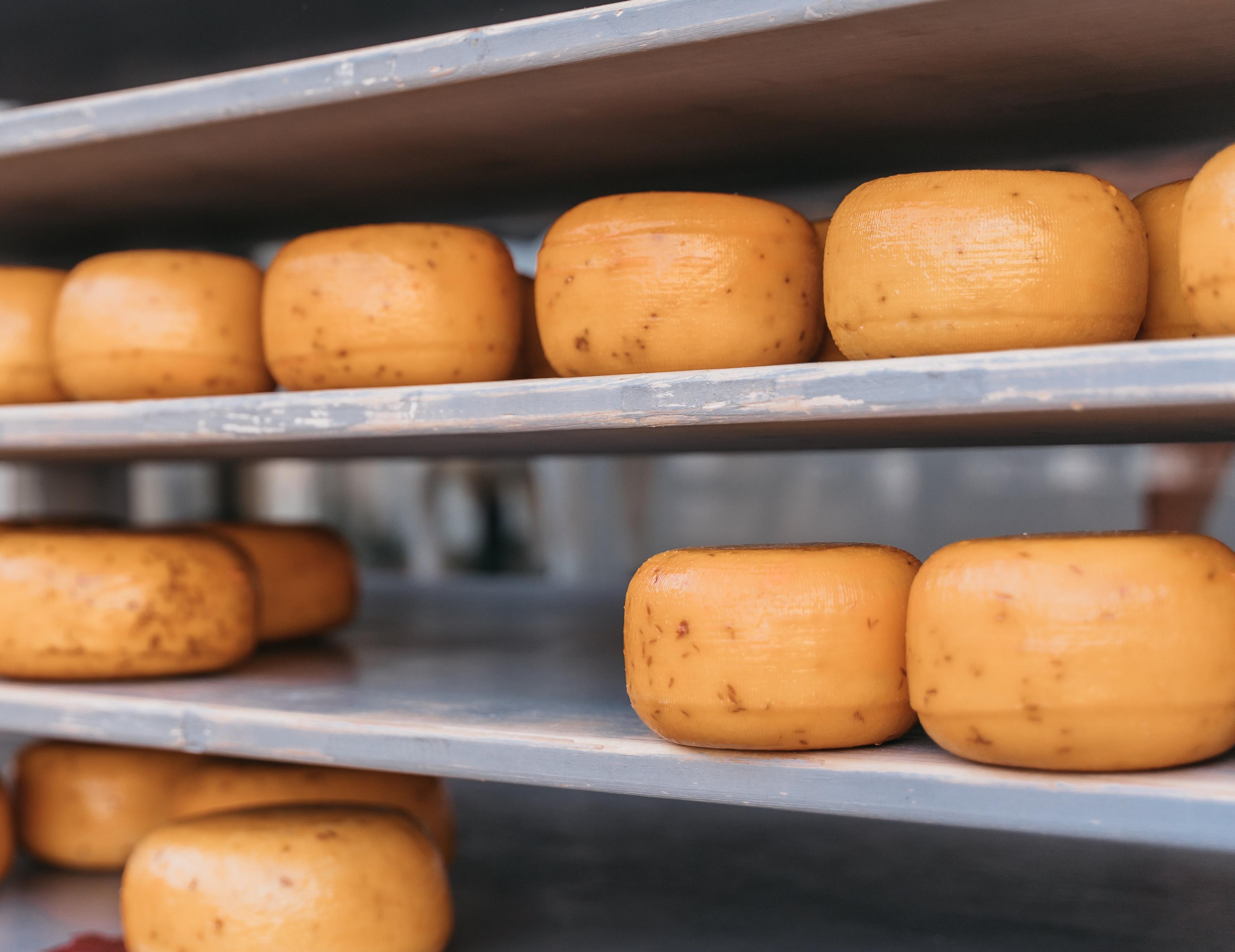 Zeeländischer Käsebauernhof