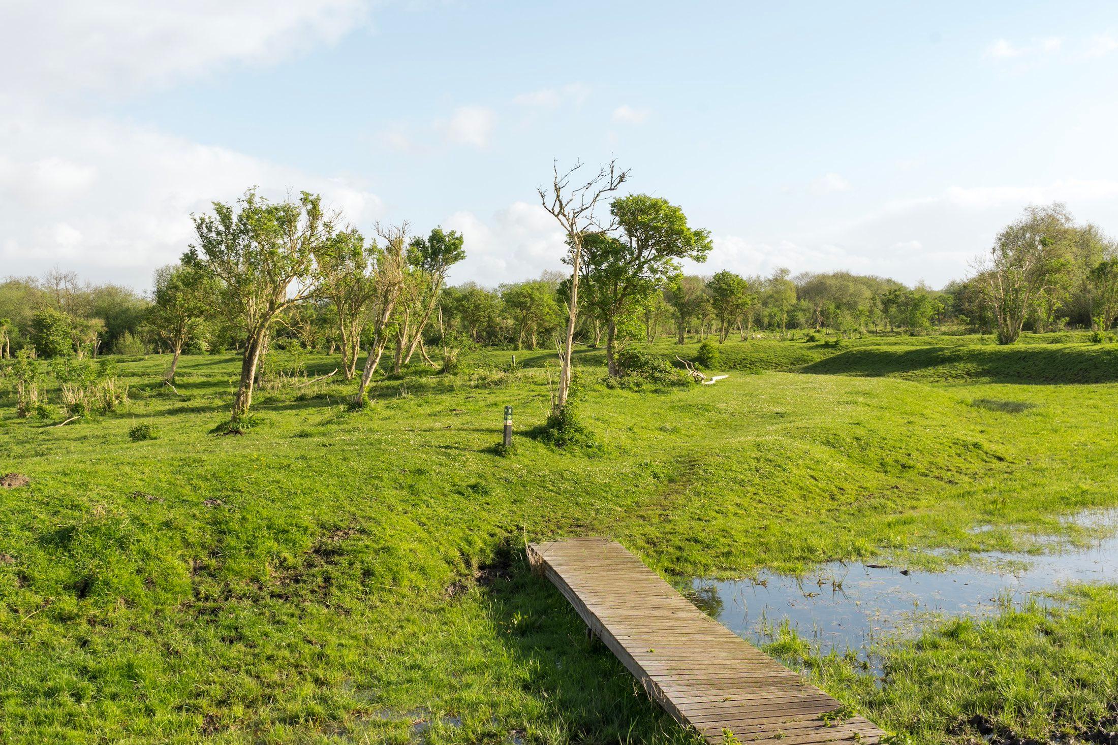 Wanderweg Slikken van de Heen