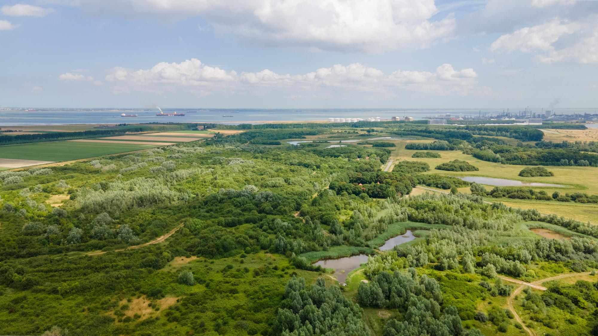 Natuurgebied De Braakman drone Biervliet