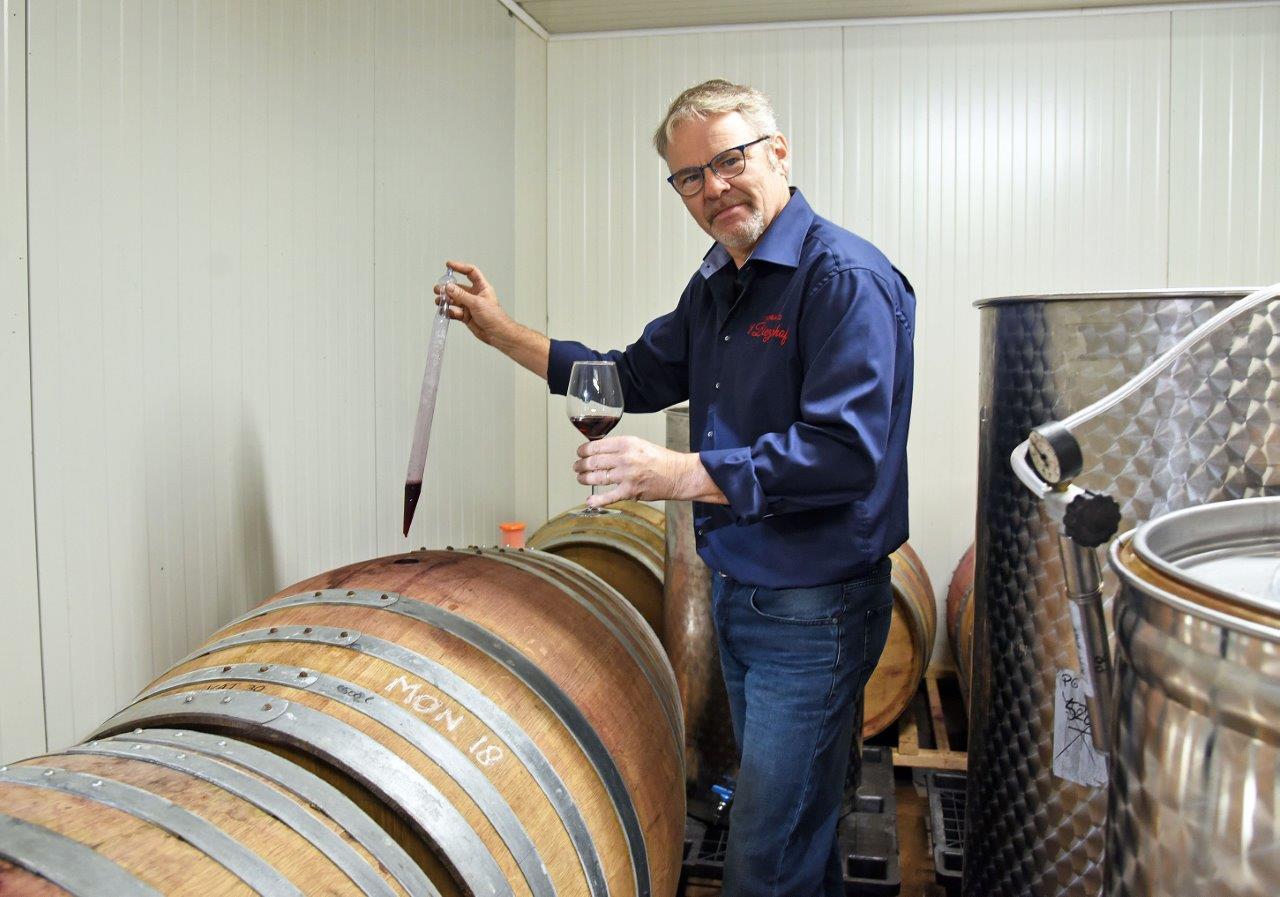 Wijngaard 't Biezenhof ©