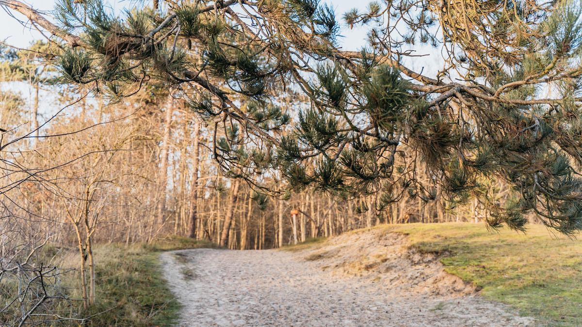 boswachterij westerschouwen