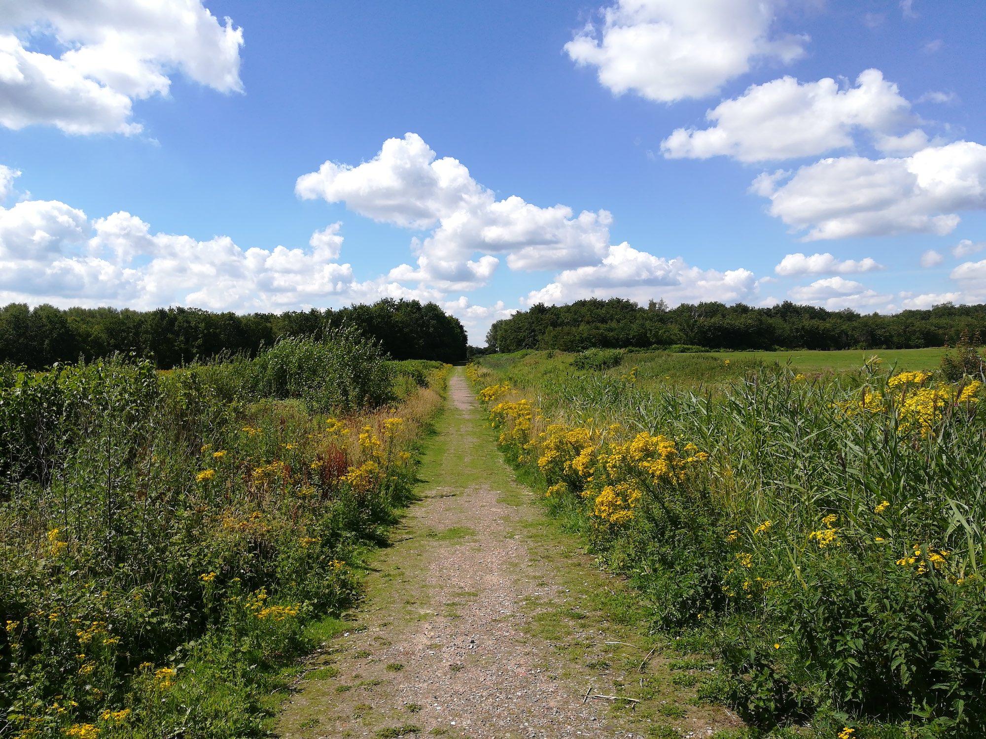 Wanderwege Terneuzen