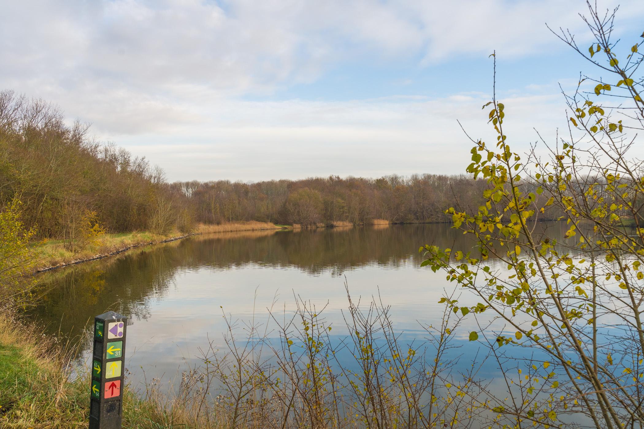 Burgh-Haamstede-schelphoekkreek